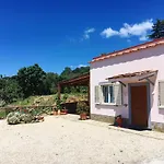 Albero Di Giada Casa vacanze *